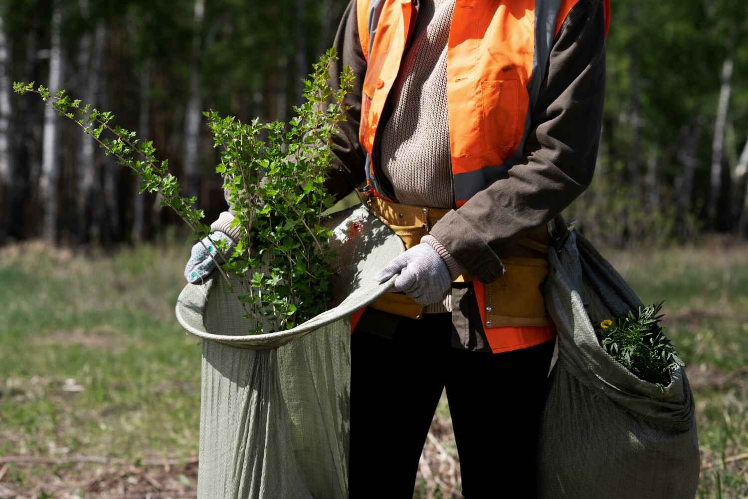 Professional Tree Service in Country Clu, MO